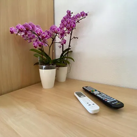 Bed and breakfast Petite Maison Posada (Sardinia)